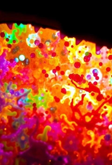 gut microbiome